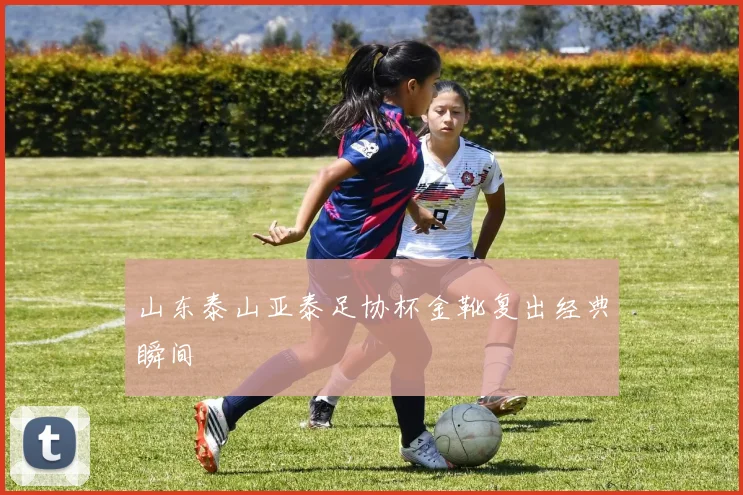 山东泰山亚泰足协杯金靴复出经典瞬间