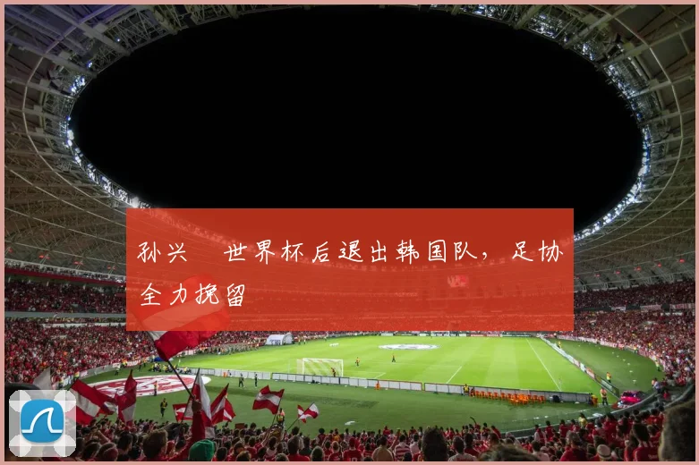 孙兴慜世界杯后退出韩国队,足协全力挽留 · 用户常问