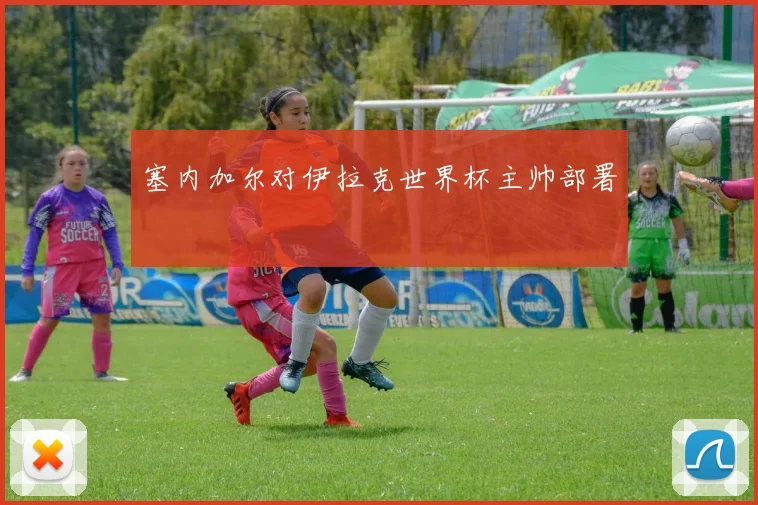 塞内加尔对伊拉克世界杯主帅部署