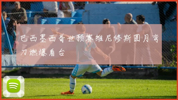 巴西墨西哥世预赛维尼修斯圆月弯刀燃爆看台 — 详细说明