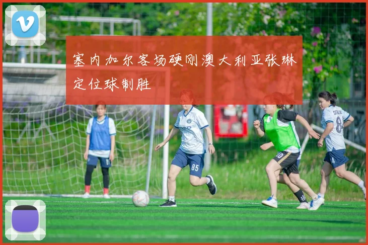 塞内加尔客场硬刚澳大利亚张琳芃定位球制胜 · 用户常问
