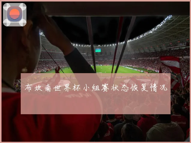 布坎南世界杯小组赛状态恢复情况 — 详细说明