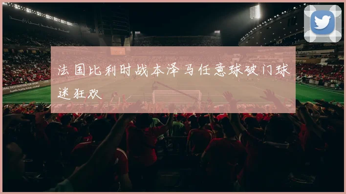 法国比利时战本泽马任意球破门球迷狂欢 — 详细说明