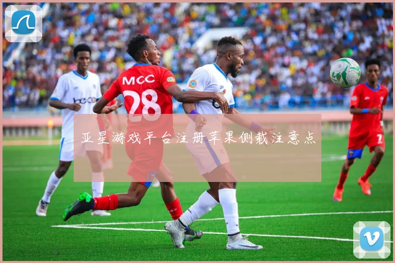 亚星游戏平台注册苹果侧载注意点