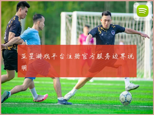亚星游戏平台注册官方服务边界说明