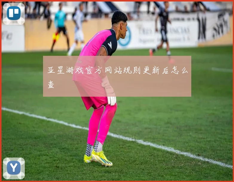 亚星游戏官方网站规则更新后怎么查