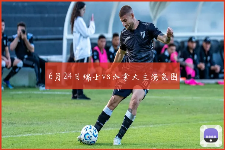 6月24日瑞士vs加拿大主场氛围